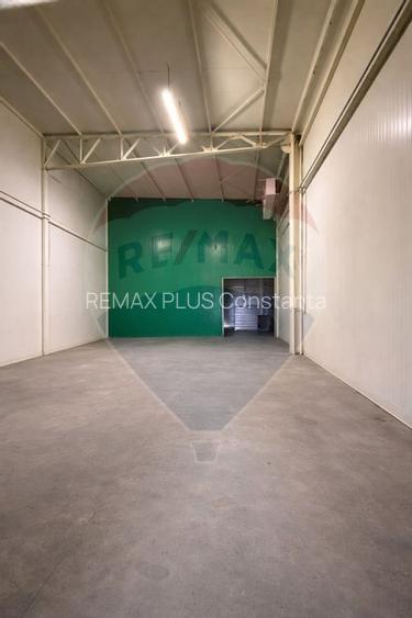 Hala industriala de vanzare in Poiana-Ovidiu - 7