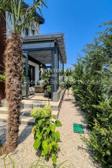 Casa cu palmieri din Corbeanca - 38