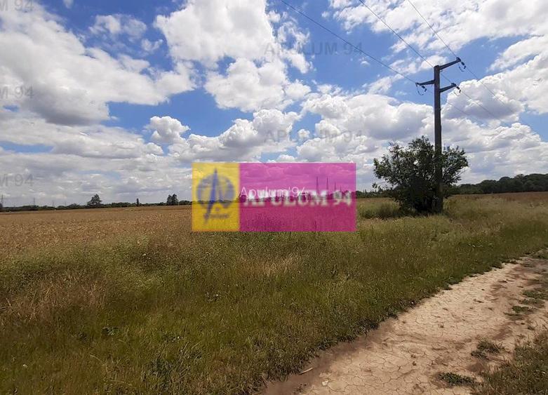 Teren 715mp în Snagov lângă Equestria - 39