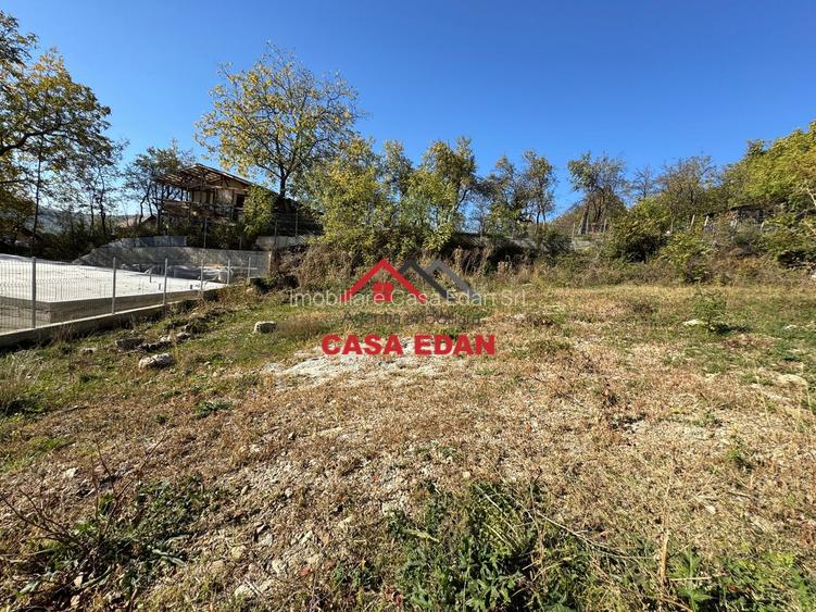 ●Teren in Cornu,Ph,500m--26.500e● - 6