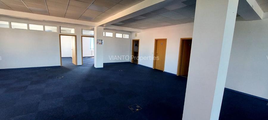 Spatiu de inchiriat 240mp2 Calea Dumbravii - 3