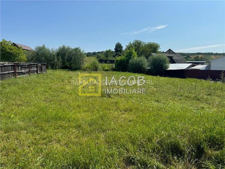 Casa parter (caramida) cu anexa (BCA) pe un teren 1180 mp, sat Strugari, jud Bac - 19