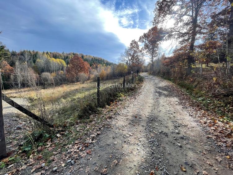 Teren Intravilan La Izvoare - 7