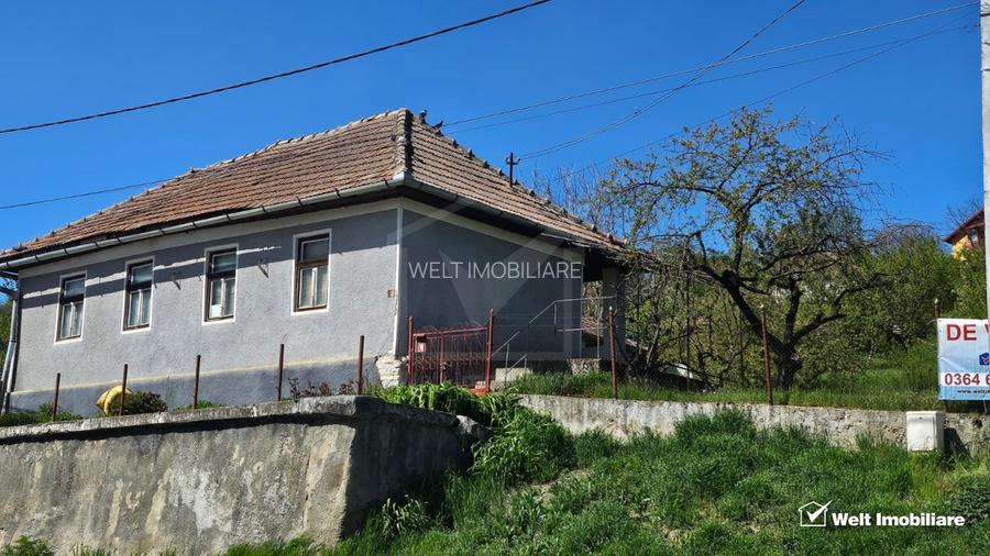 Casa individuala  cu teren 2030mp sat Cojocna - 2