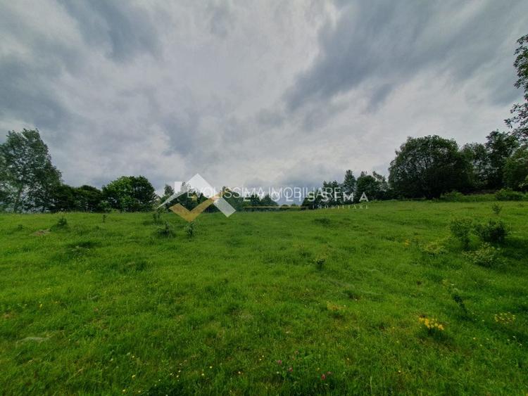 Investitie Teren intravilan 11.396 mp Moieciu de Jos - 4