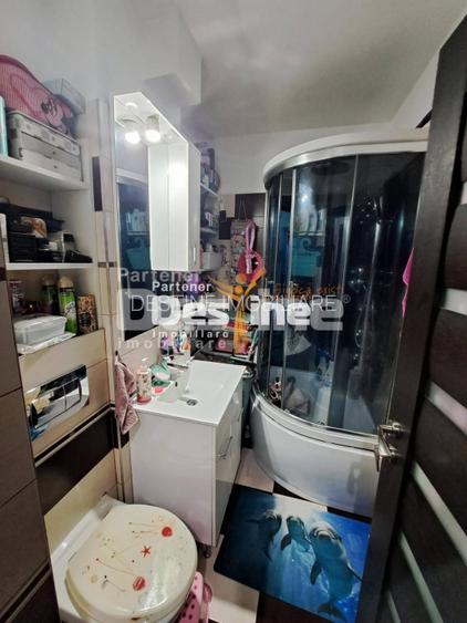 Apartament 2 camere, Baia Mare, Victor Babes, decomandat, mobilat, etaj 8 /10 - 8