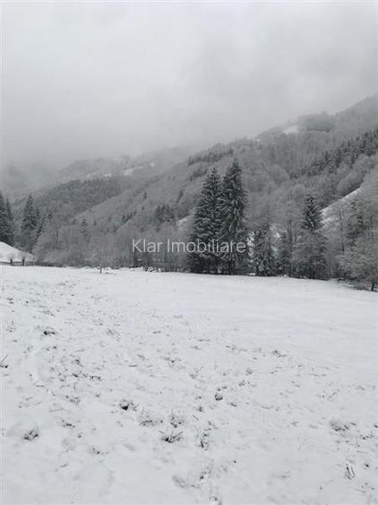 Teren pentru cabana Racatau - 7