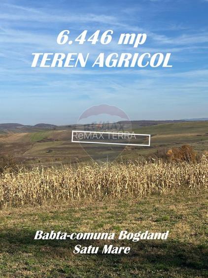 TEREN AGRICOL - BONUS o CASA - 4