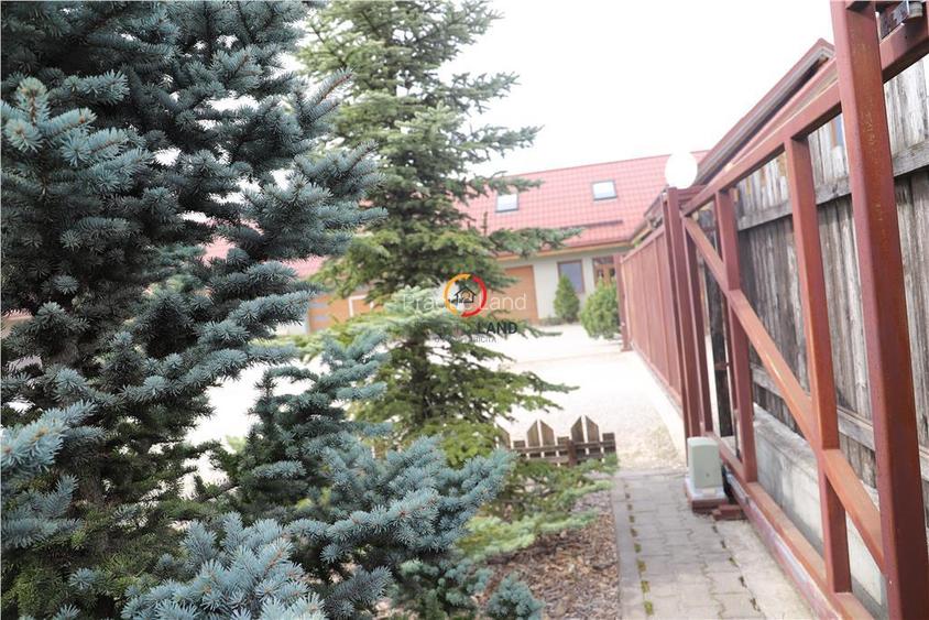 teren  intravilan18.000 mp pentru dezvoltare comerciala - 9