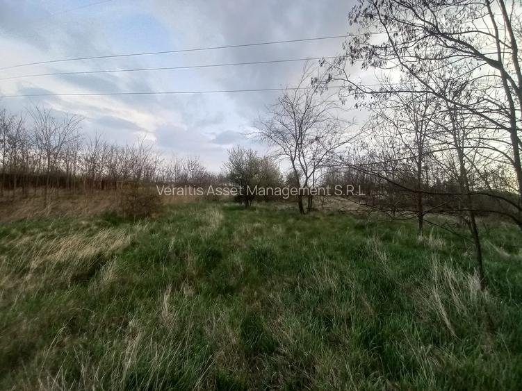 Teren de vanzare in Snagov, Jud. Ilfov - 4