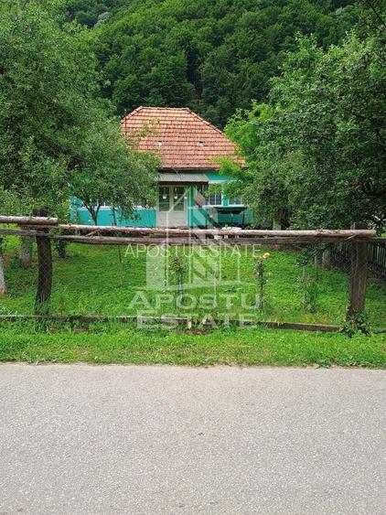 Casa batraneasca de vanzare, 4 camere, in Hunedoara, sat Micanesti - 42