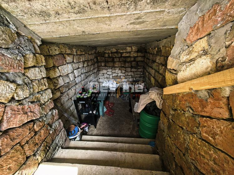 Casă 4 camere plan parter cu beci și anexe + 720 mp curte - 20