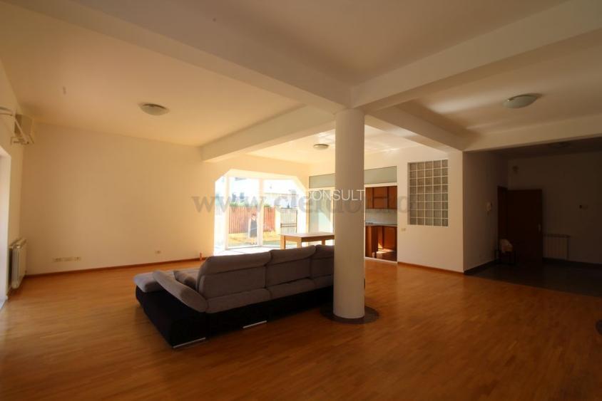 Iancu Nicolae- Vila individuala - 6