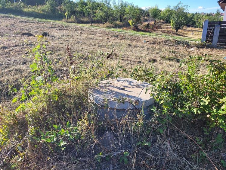 Teren construibil cu utilitati Saldabagiu de Munte 900m - 4