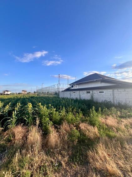 Teren de vanzare intravilan - sat Islaz Comuna Branesti - toate utilitatile - 6