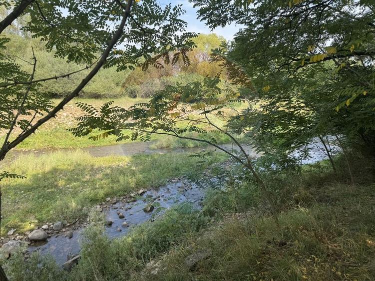 Teren 10.000 mp Calatele – Apuseni, langa rau, ideal investitie turism