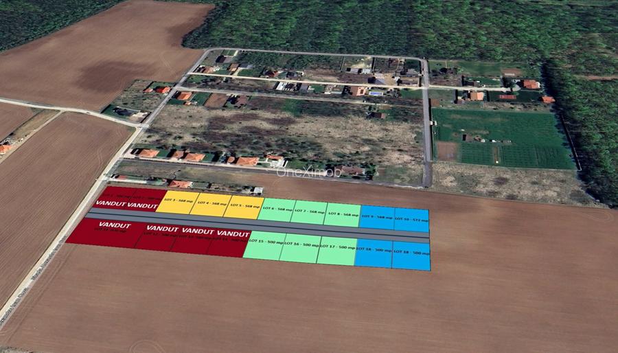 The Forest Collection -LOT 500mp- Strada asfaltata | Padurea Snagov -Ciofliceni  - 3