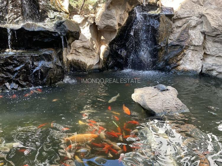 Studio I HERASTRAU I AVIATIEI I Terasa 20 mp - 13