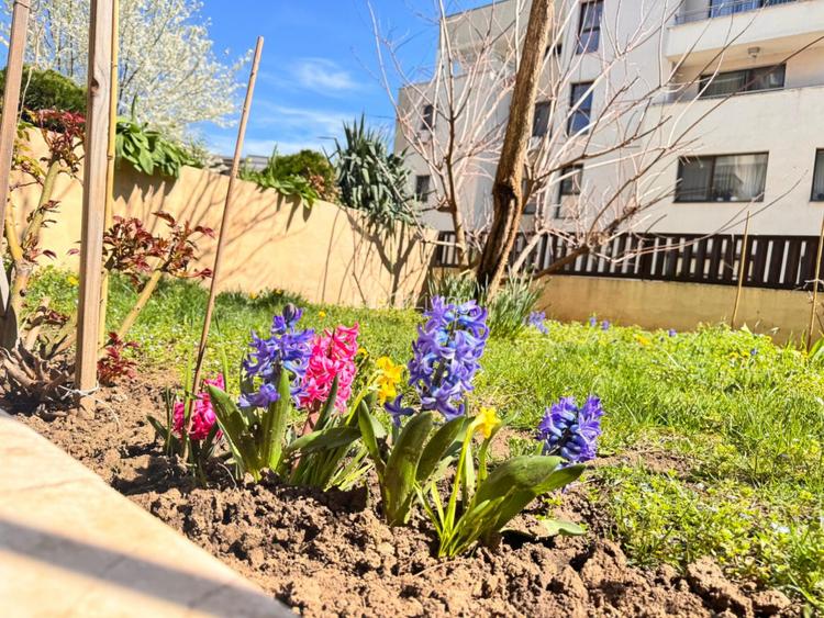 Apartament 3 Camere Gradina 60mp Parcare -Boxa Subterana Loc de Joaca - 2