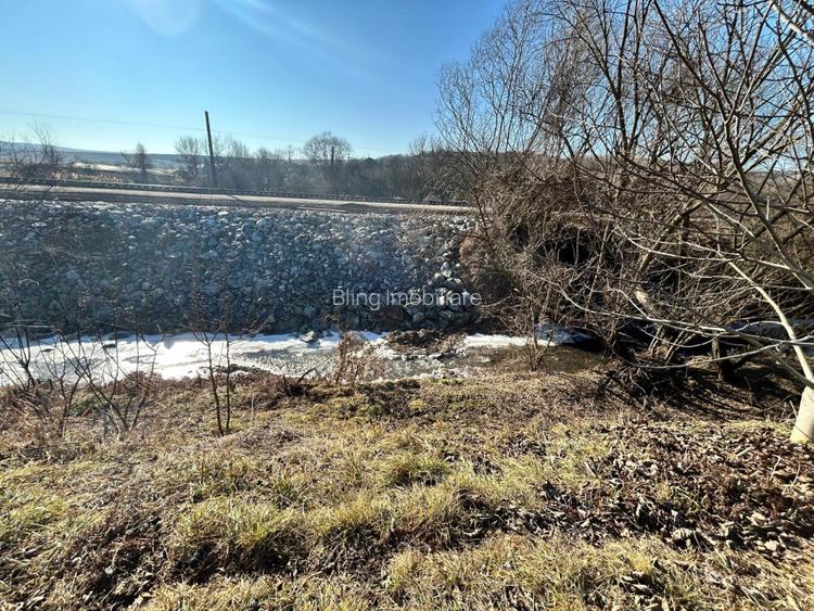 Teren intravilan pentru casa 2400 mp front 16ml Radaia sub pretul pietei  - 5