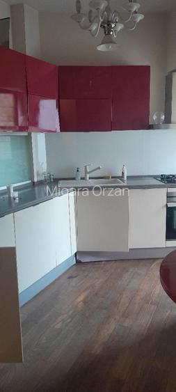 Piata Muncii-Calea Calarasilor, vila 500mp /12 camere, curte 150 mp - 13