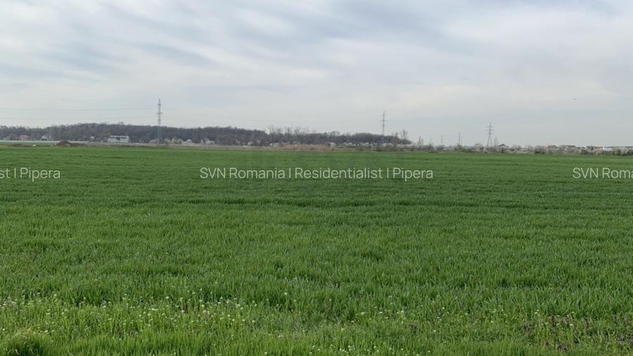 REL4001048 Teren Magurele - 16573 mp - Acces Dublu - Proximitate A0 - 5