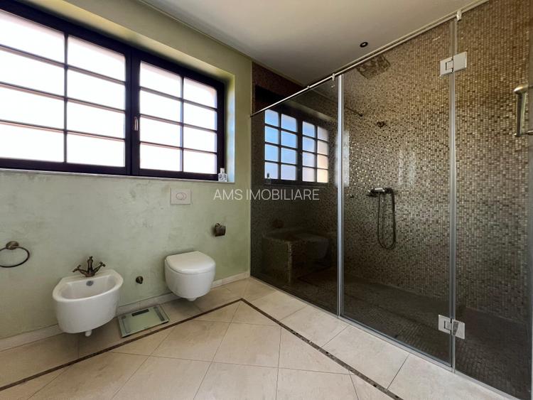 VILA DEOSEBITA / SPATII GENEROASE / CURTE PROPRIE - 22