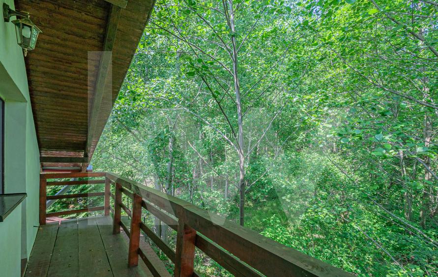 Casa de vacanta spatioasa cu priveliste spectaculoasa in Tocile - 26