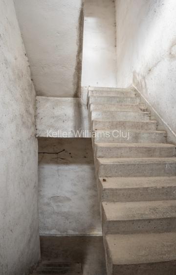 Cladire industriala cu potential mixt – productie, depozitare, servicii –Toplita - 16