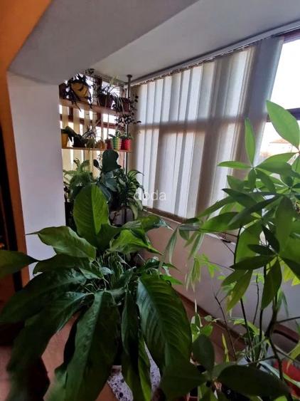 Vând apartament dambovita 3 camere  - 5