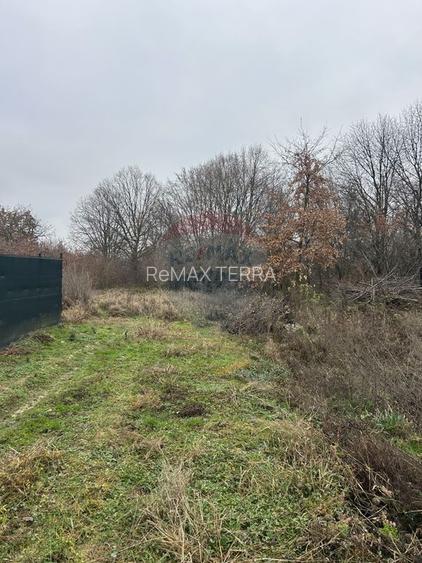 Teren 1,200mp si 400m2 cota drum Satu Nou de Jos / Strada Principala - 7