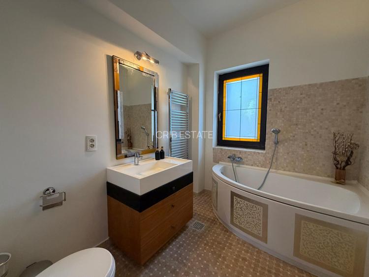 Vila cu piscina Iancu Nicolae Zoo Baneasa 6 dormitoare - 13