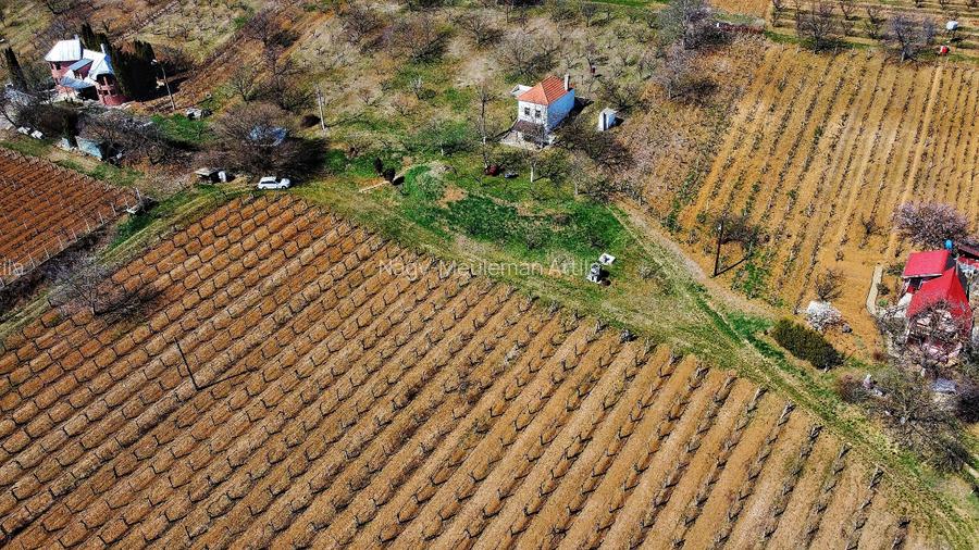 Investiție rară în Bihor - 7