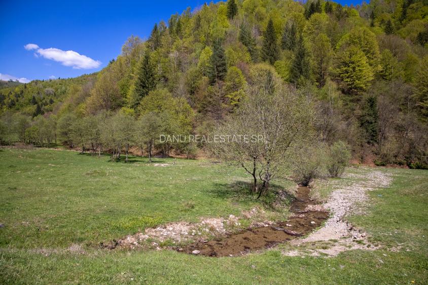 Zarnesti-Bârsa Fierului-Teren 1.893 mp pentru Casă de vacanță, A-frame - 8