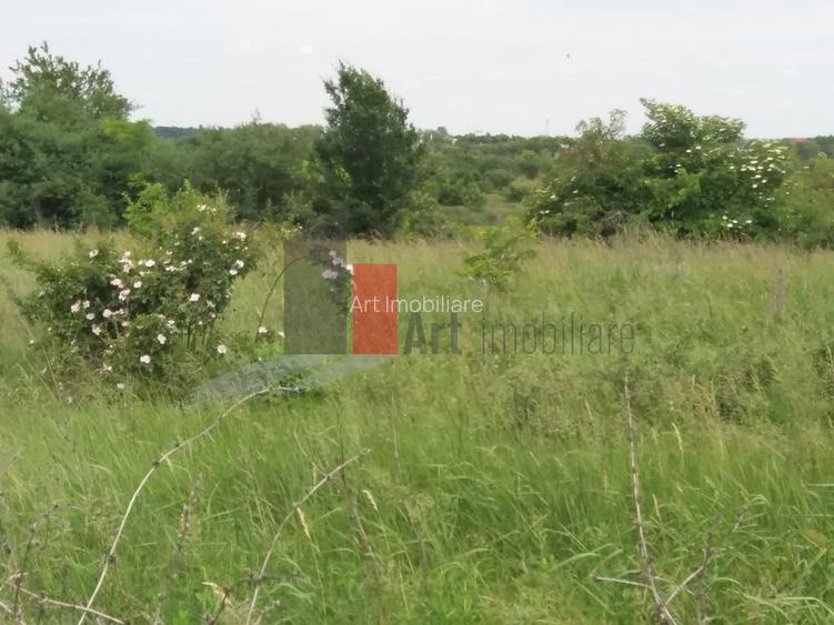 Teren Buftea cu iesire la lac - 22