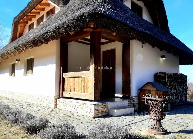 Casa traditionala de vis, aproape de Cluj-Napoca - 2