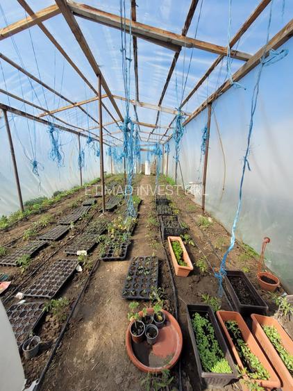 FERMĂ - PIETRENI - DN3 - UTILITĂȚI - 10.680 MP - 5