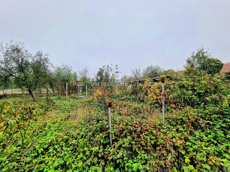 Casă mare, Parter + Etaj, la Vasiova, pe strada Principală (Tudor Vladimirescu) - 12