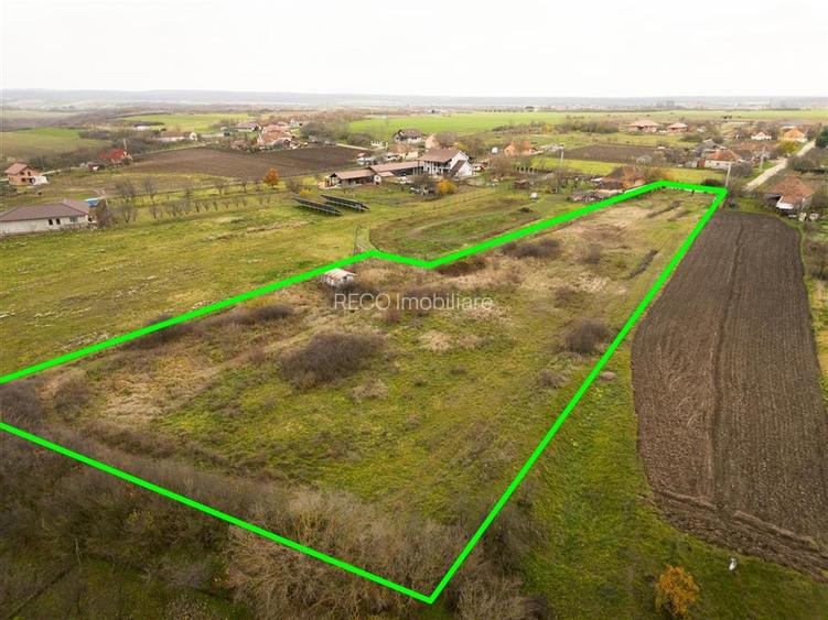 RECO, Teren intravilan, loc de casa in Pausa, Nojorid - 11