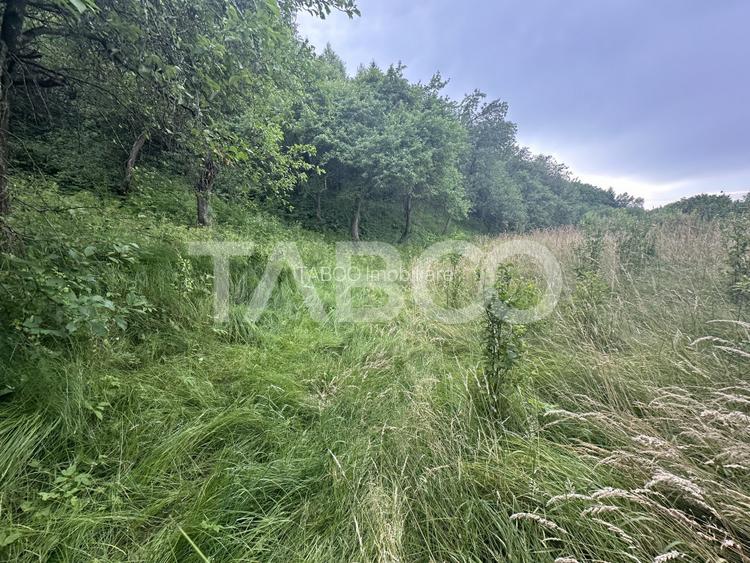 Casa 3 camere 5335 teren liber garaj si anexe  in Sinca Veche - 16