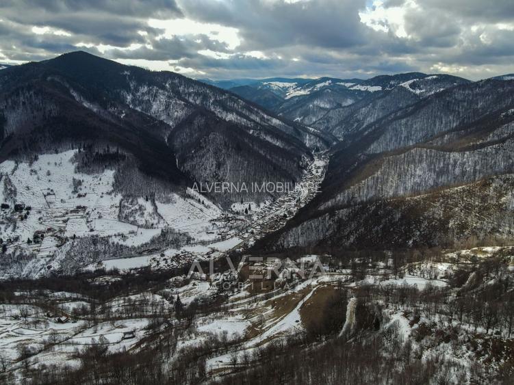 Teren intravilan 3127mp Front 47m | drum asfaltat | Plopi Valea Ierii - 3