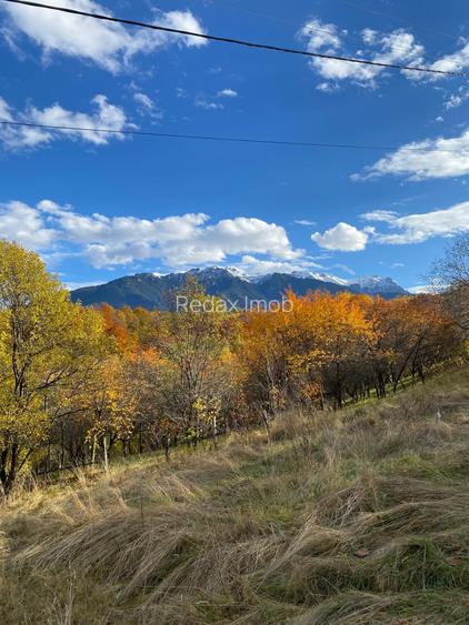 Teren intravilan Sohodol, priveliste catre Bucegi, Piatra Craiului,Magura Codlei - 3