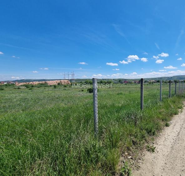 Teren Industrial în Sebeș-Petrești – 4.246 mp, Deschidere 123 m - 2