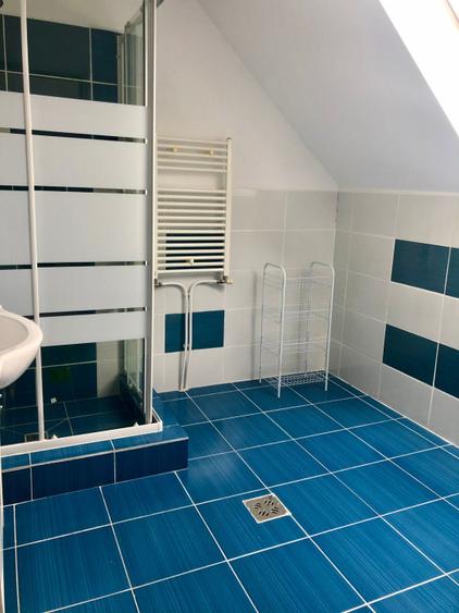 Apartament 2 camere, 53 mp, mobilat utilat, zona Muzeul Apei