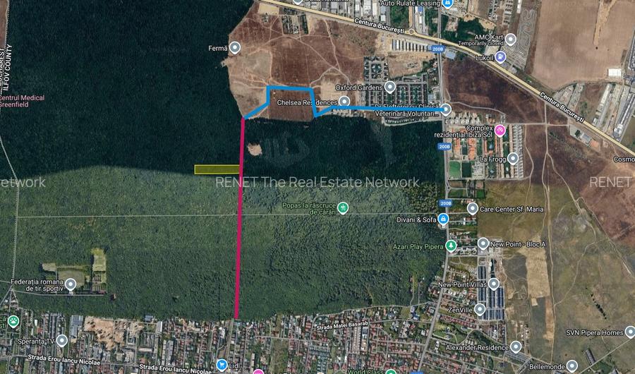 Raritate absolută: Teren 20.000 mp în inima Padurii Băneasa - 3