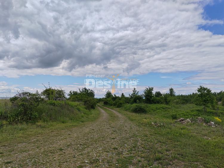 Teren extravilan, 114000 mp, Parc industrial West Park - 14