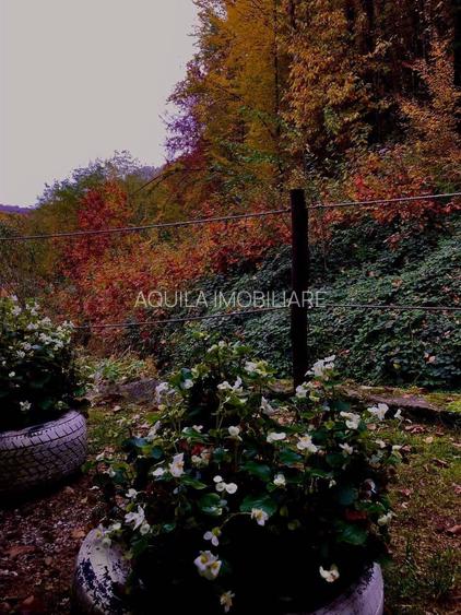 Teren intravilan 5660 mp - 8