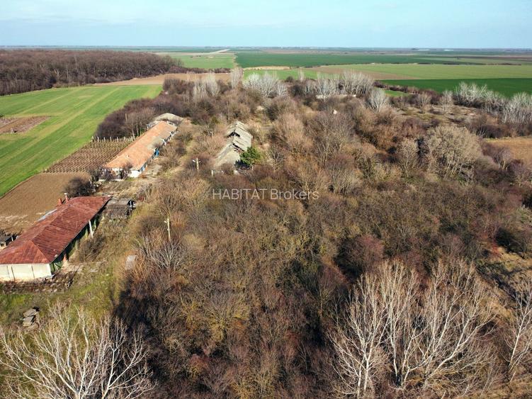 Ferma si livada de meri in judetul Ilfov - 18