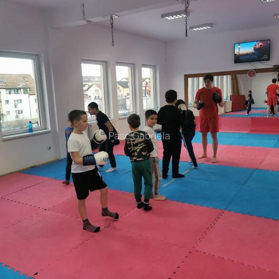 Dau spre inchiriere imobil D.P+2 (1350mp+curte +2 ap) posib schimb destinatie  - 3