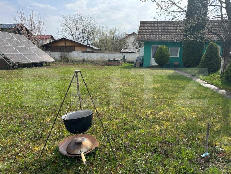 Investitie: Casa cu teren constructii si pastravarie - Prejmer, Brasov - 9